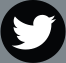 [BUTTON] Twitter